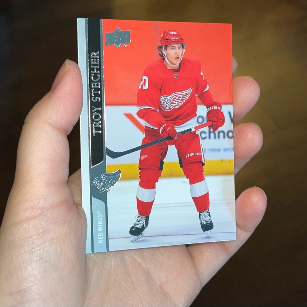 Detroit Red Wings Troy Stecher 2020-21 Upper Deck Extended Series Trading Card!